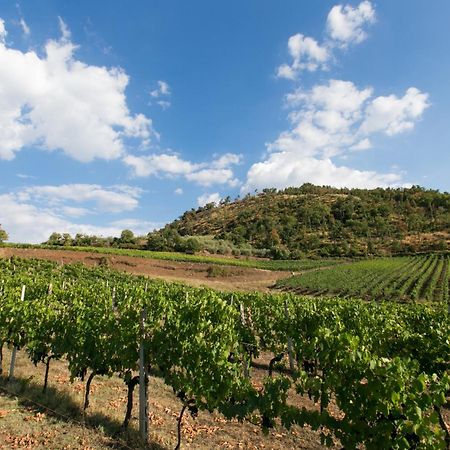 Villa Rosano Greve in Chianti Ngoại thất bức ảnh